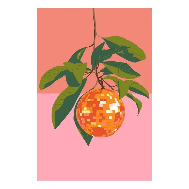 Discofrucht