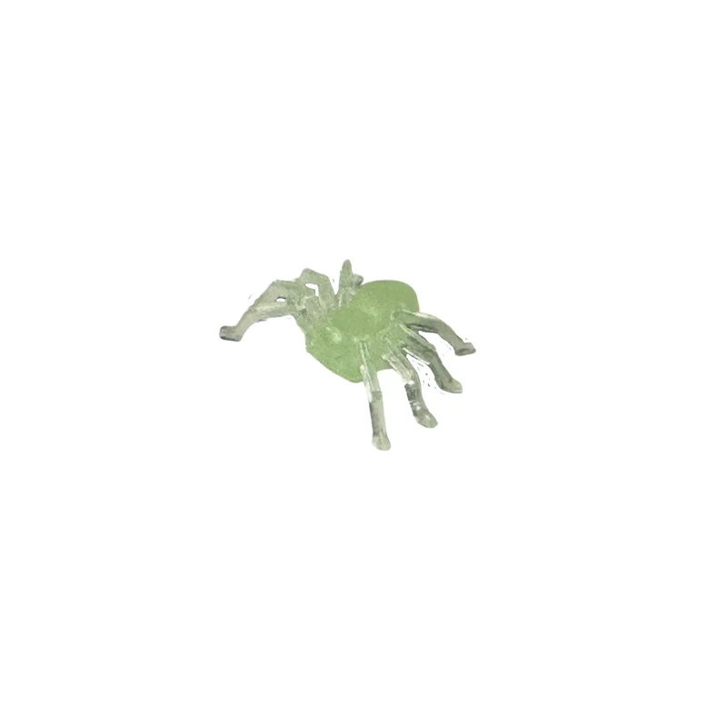 Spinne nachleuchtend