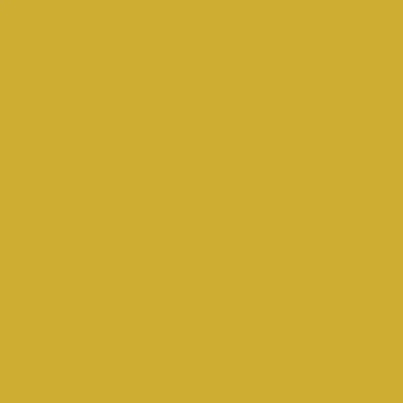 Liquitex - Acrylic Paint Marker 15mm - Gold