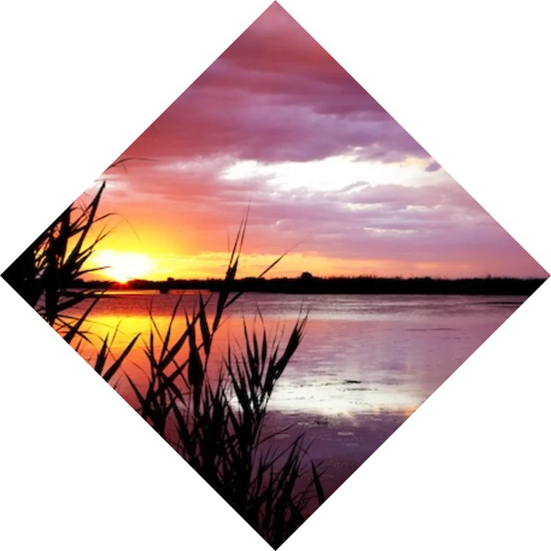 Aluminiumbild gebürstet Sonnenuntergang am Strand Raute