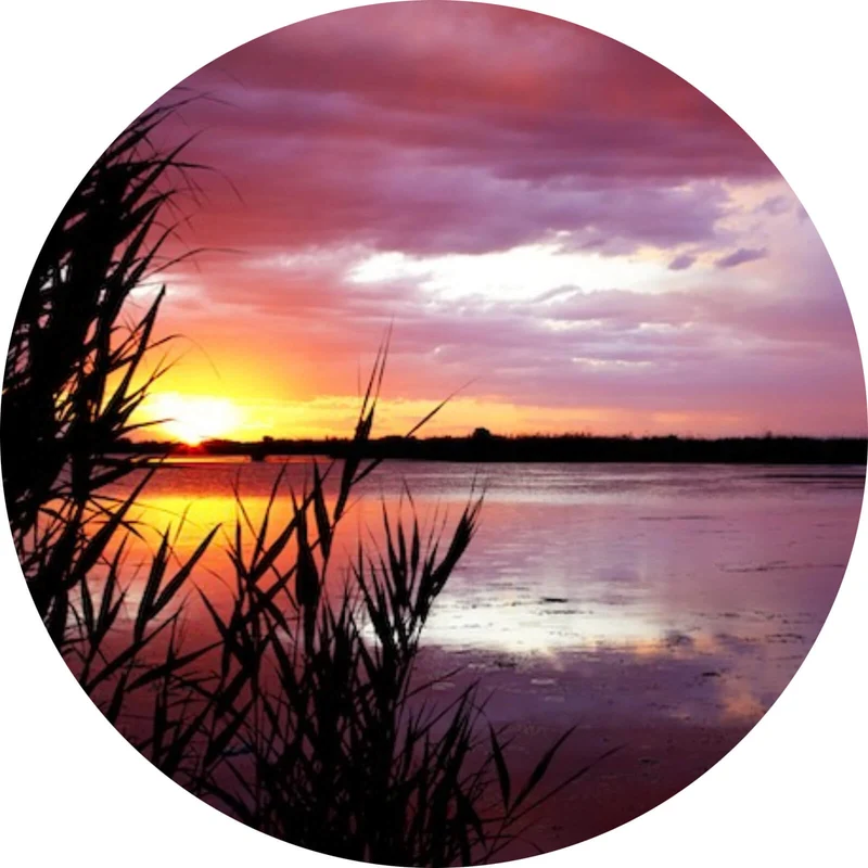 Aluminiumbild gebürstet Sonnenuntergang am Strand Kreis