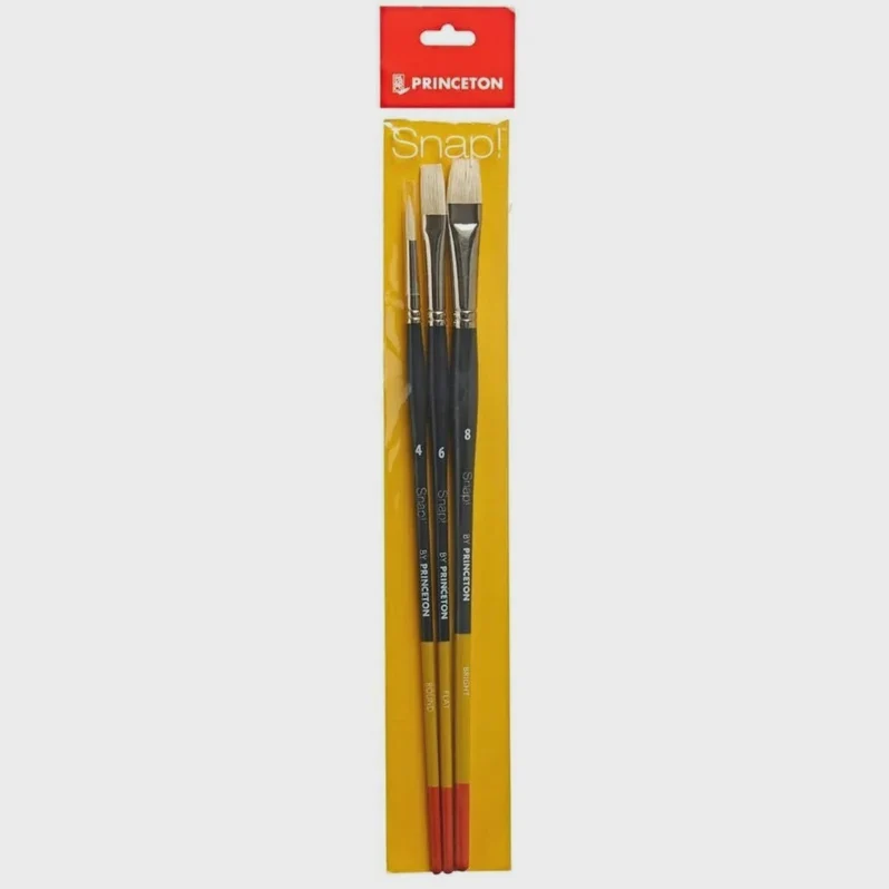 Snap Series 9700 Bristle Brush Set