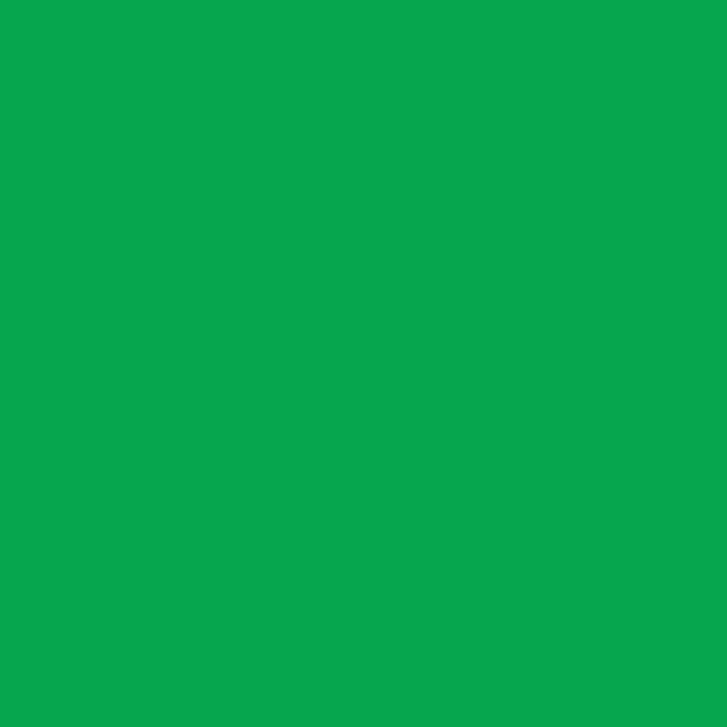 Liquitex - Acrylic Paint Marker 8mm - Green
