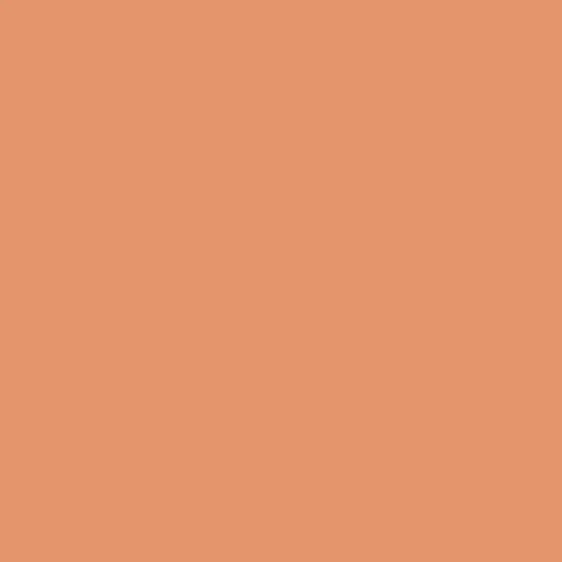 Liquitex - Acrylic Paint Marker 2mm - Terracotta