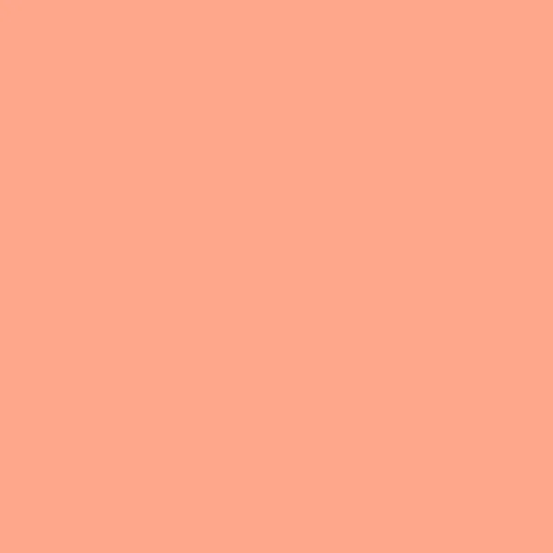 Liquitex - Acrylic Paint Marker 2mm - Peach