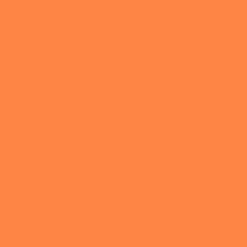 Liquitex - Acrylic Paint Marker 2mm - Light orange