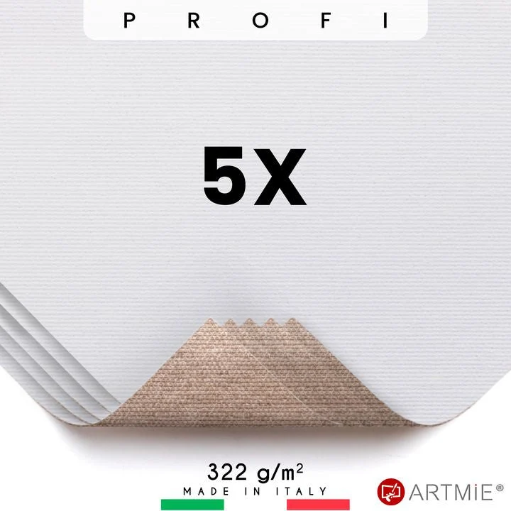 ARTMiE Profi Canvas Samples, Set of 5