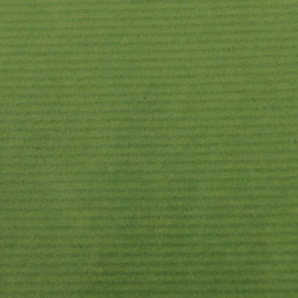 Canson - Kraft Paper Roll - Green