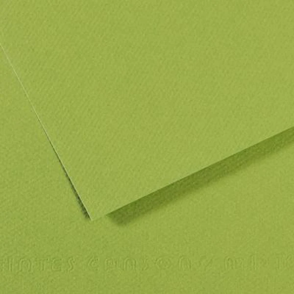 Canson - Mi-Teintes Pastel Paper - A4 Green (475)