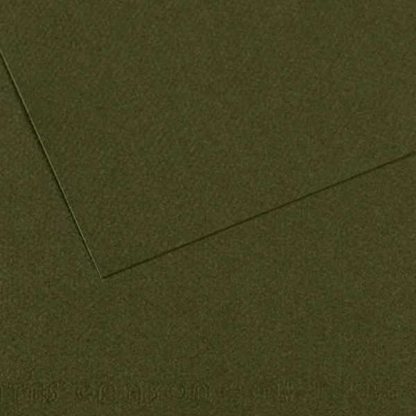 Canson - Vivaldi Poster Paper - 50 x 65cm 120gsm Forest Green