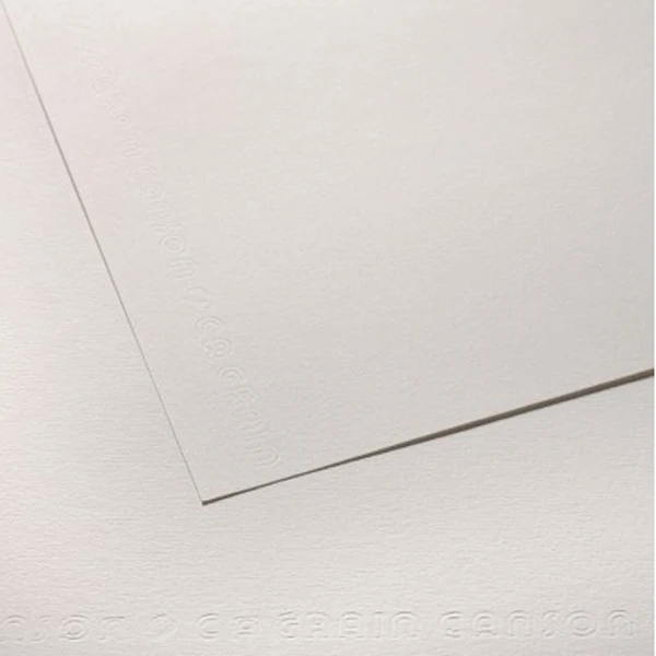 Canson - CA Grain Drawing Paper - 50 x 65cm 224gsm