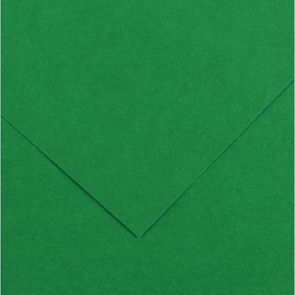 Canson - Vivaldi Poster Paper - 50 x 65cm 120gsm Moss Green