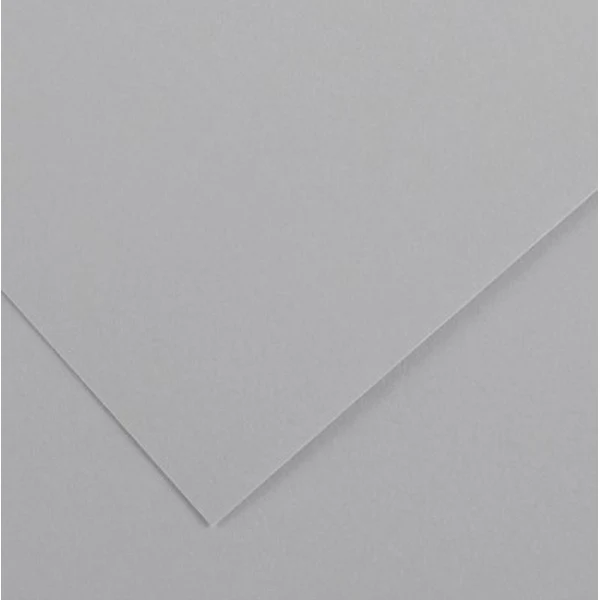 Canson - Vivaldi Poster Paper - 50 x 65cm 120gsm Light Grey