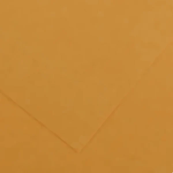 Canson - Vivaldi Poster Paper - 50 x 65cm 120gsm Leather