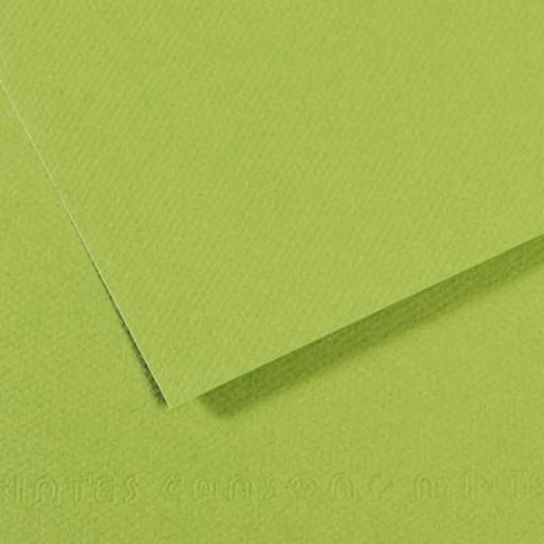 Canson - Vivaldi Poster Paper - 50 x 65cm 120gsm Bright Green