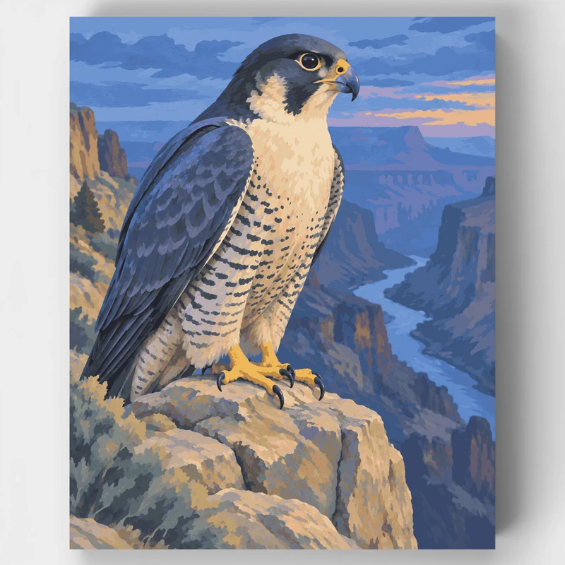 Falcon at the Canyon Edge - Paint by Numbers Kit