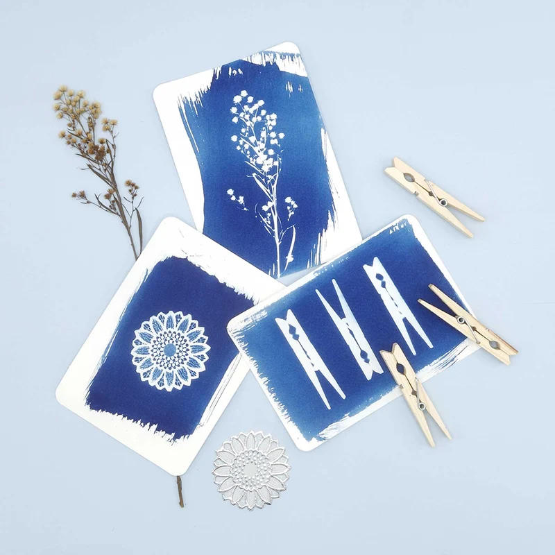 PAR - Cyanotype kit - Postcard