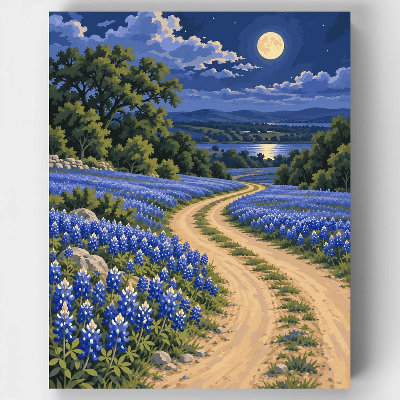 Moonlit Bluebonnet Road - Paint by Numbers Kit