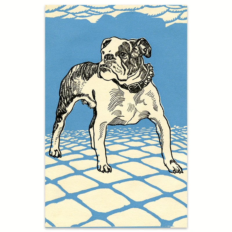 Bulldogge