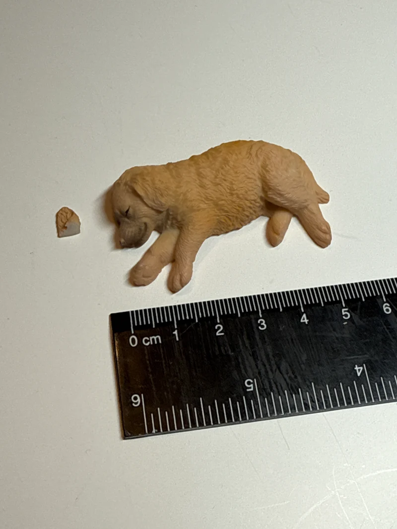 Hund (abgebrochenes Ohr)