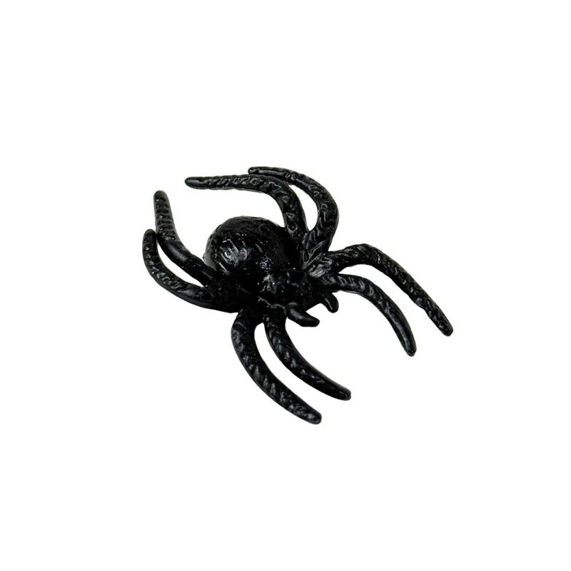 Spinne groß