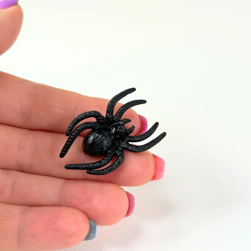 Spinne groß