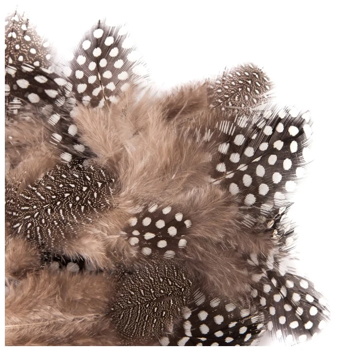 Natural Quail Feathers 5–12 cm / 5 g