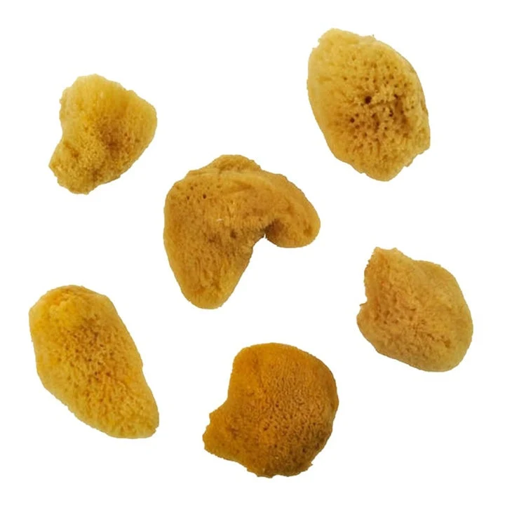 Royal and Langnickel Small Natural Sea Sponges Set of 6