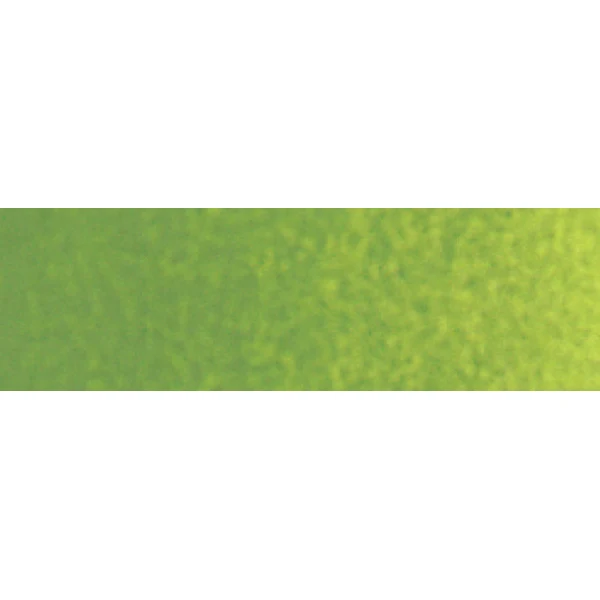 Winsor and Newton - Cotman Watercolour - 21ml - Sap Green
