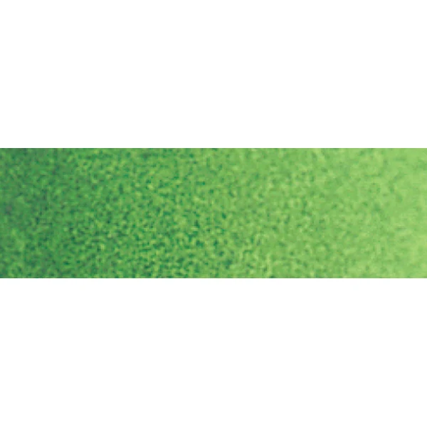 Winsor and Newton - Cotman Watercolour - 8ml - Hookers Green Light
