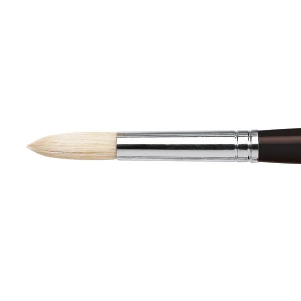 Winsor and Newton - Azanta Black Round Long Handle Brush - No. 10