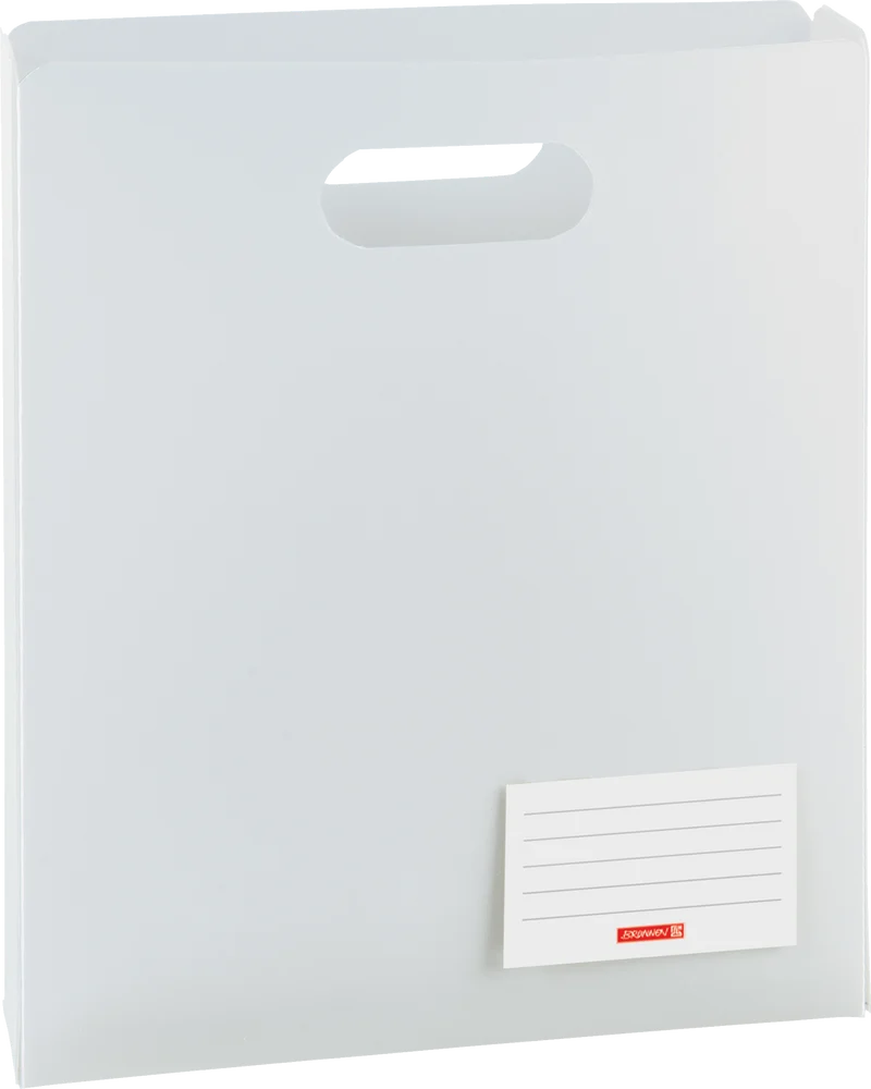 Premium Heftbox A4 Arctic - Transluzente Dokumentenmappe mit Griffloch