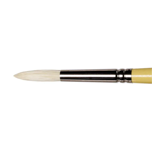 Winsor and Newton - Artists' Hog Round Long Handle Brush - No. 6
