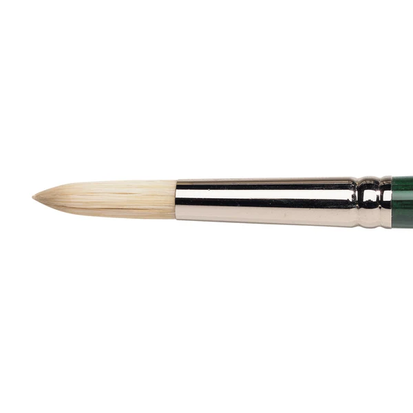 Winsor and Newton - Winton Round Long Handle Brush - No. 12