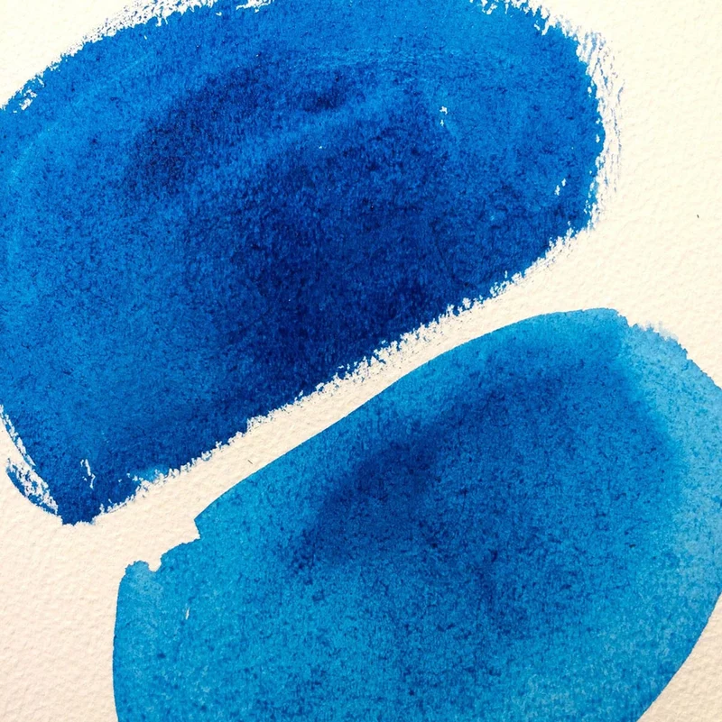 Winsor and Newton - Ox Gall Liquid - 75ml