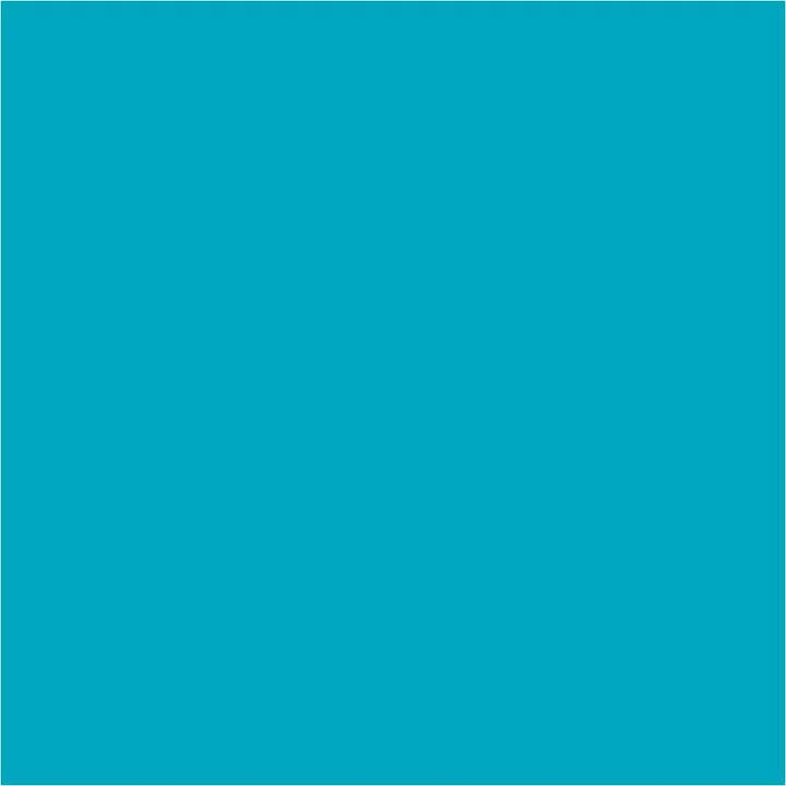 Pentart Liquid Pigments 10 ml