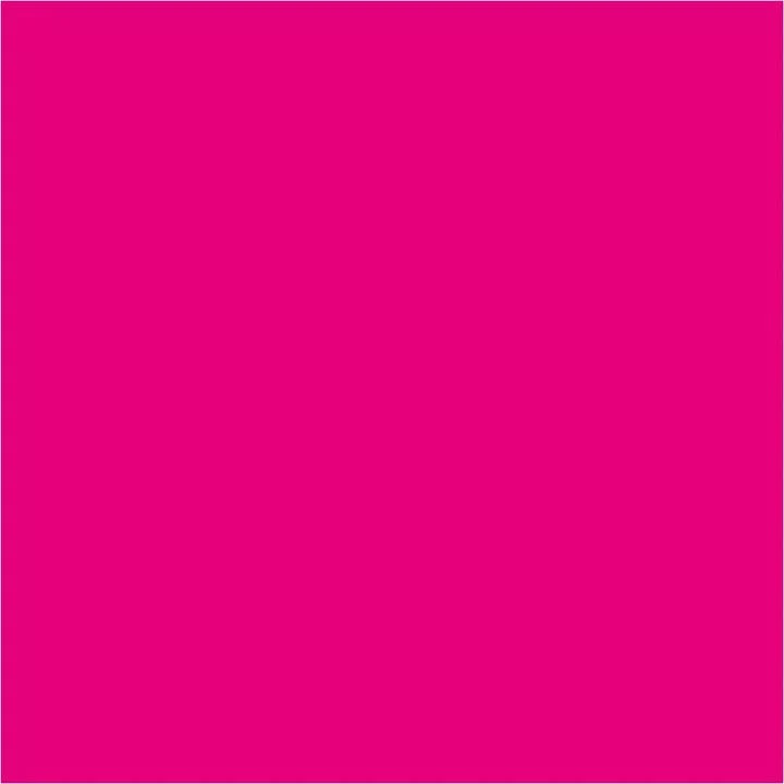 Pentart Liquid Pigments 10 ml