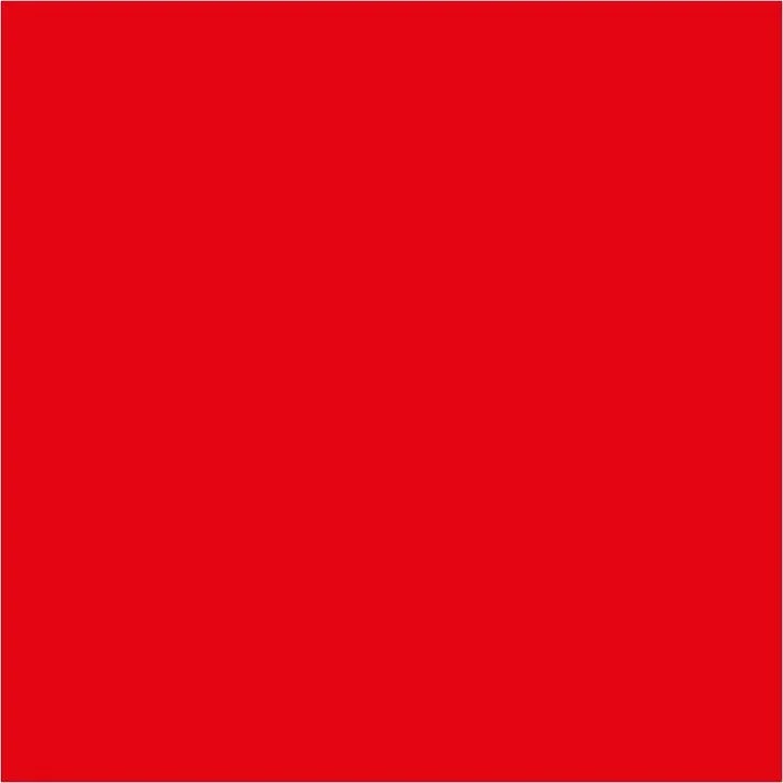 Pentart Liquid Pigments 10 ml