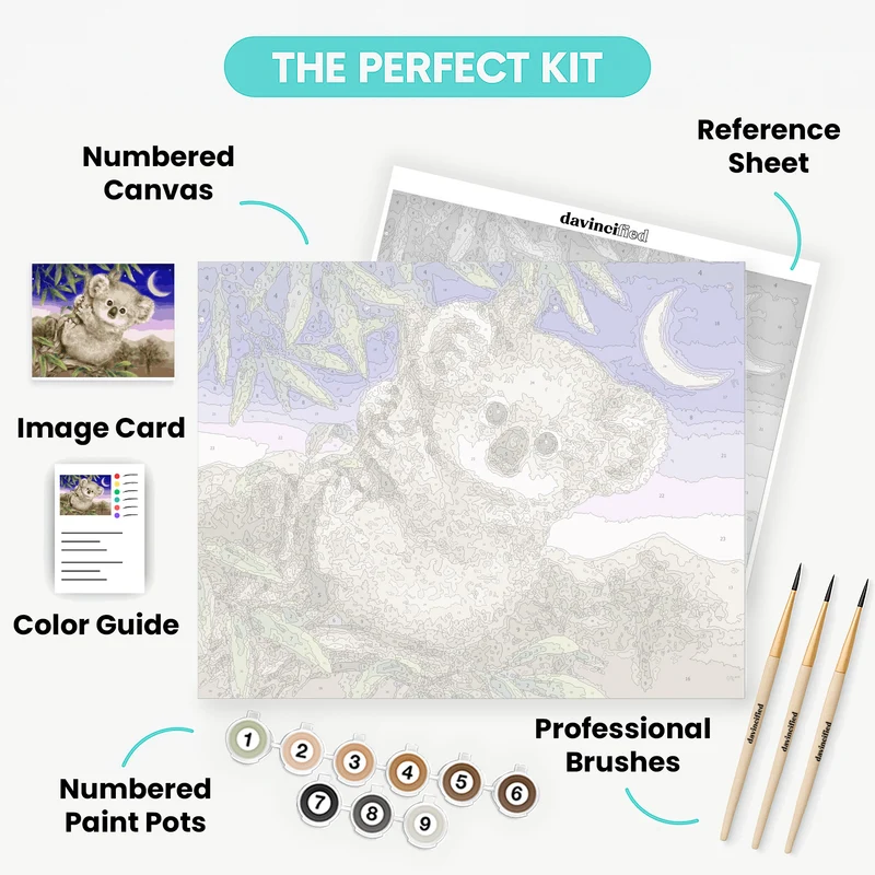 Baby Koala - Paint by Numbers Kit