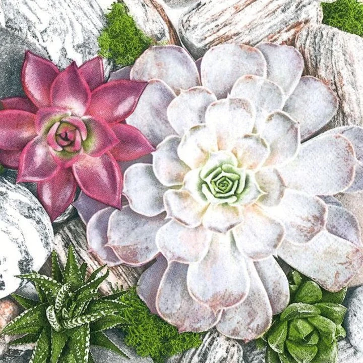 Decoupage Napkins Succulent Plants and Stones Composition - 1 pc