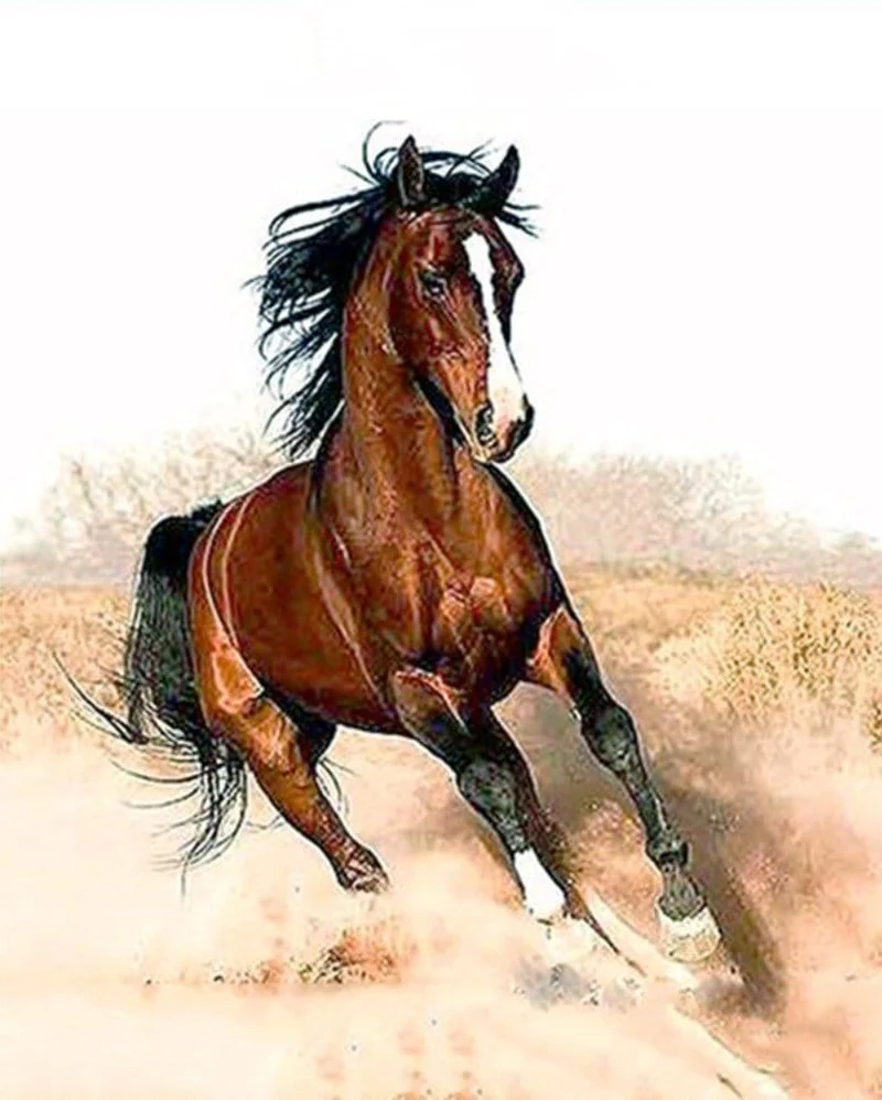 Malen nach Zahlen Pferd im Galopp