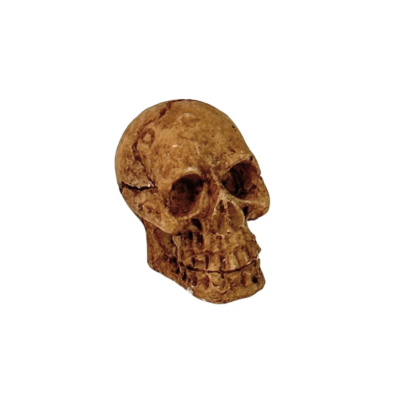 Totenkopf