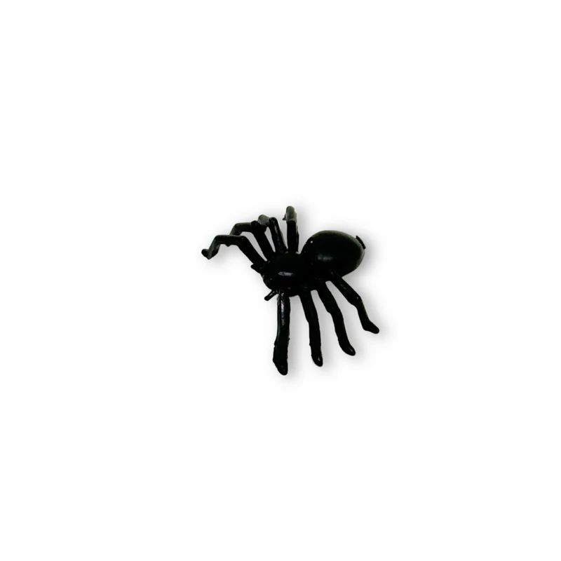 Spinne