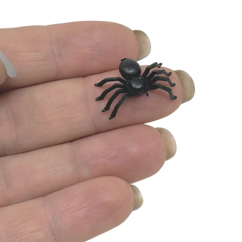 Spinne