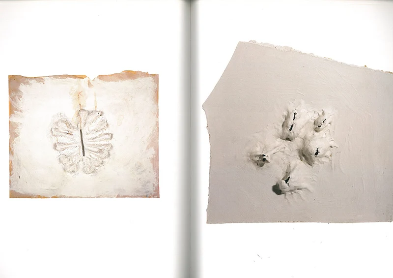 ANISH KAPOOR. Shooting into the Corner - Special Edition