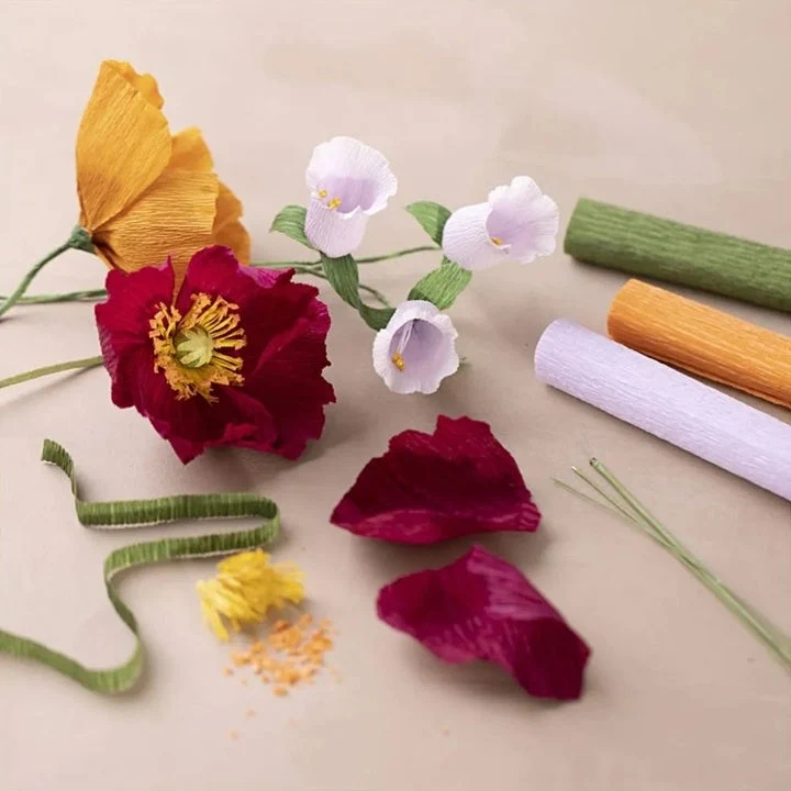 Crepe Paper Flower-Making Set for Beginners