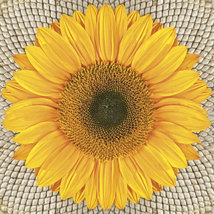 Decoupage Napkins Sunflower on Seeds - 1 pc