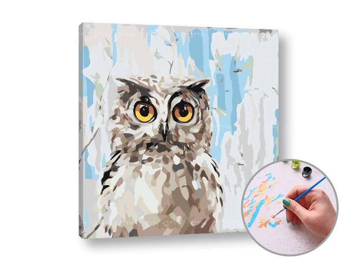 MUDRA Owl Paint by Numbers | Low Difficulty