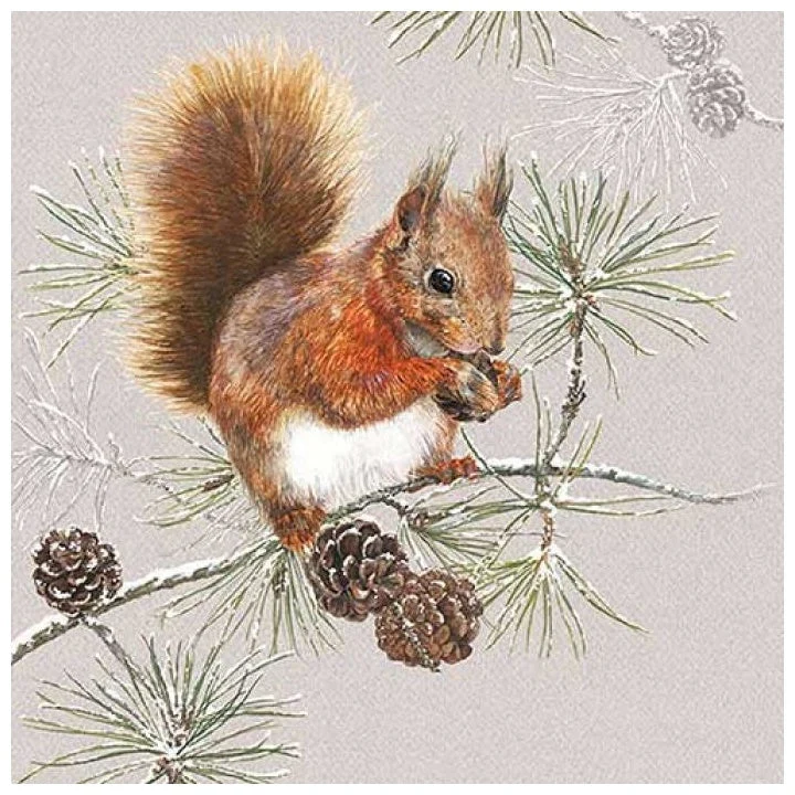 Decoupage Napkins Squirrel in Winter - 1 pc