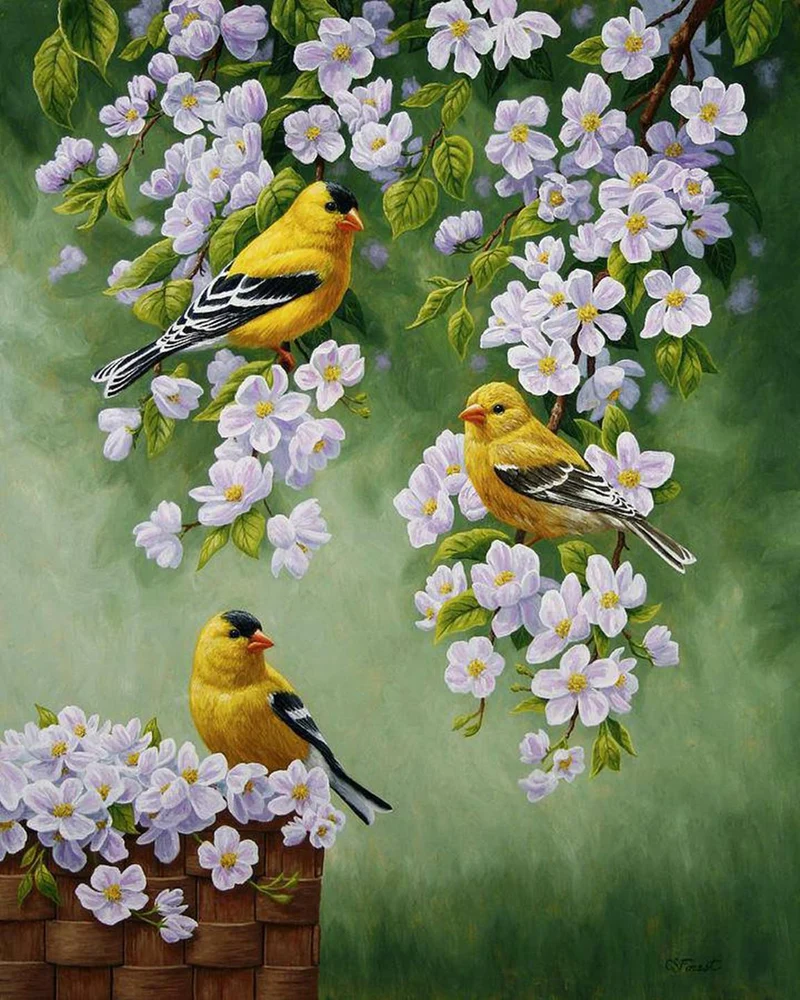 Malen nach Zahlen Gelbe Vögel mit weißen Blumen